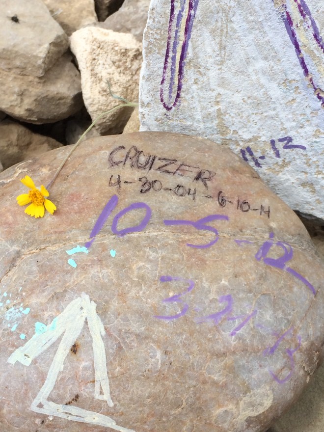 Cruizer's memorial in South Dakota